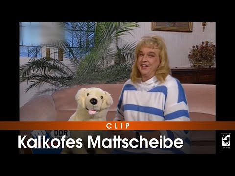 Daily Kalk 413 - Tierisch, tierisch