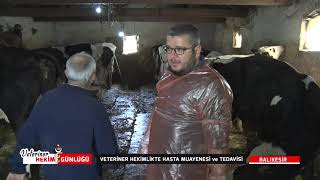 VETERİNER HEKİM GÜNLÜĞÜ | 06.04.2021 - BALIKESİR