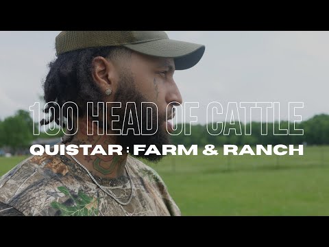 Quistar - 100 Head of Cattle (Official Video)