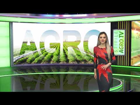 Incident grav o tonă de pești morți, în Dolj 12 05 2021