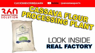 Cassava Starch Processing Line - Look Inside a Real Factory