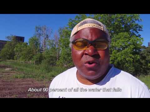 Sustainable Living - Jabril Faraj 4 of 6