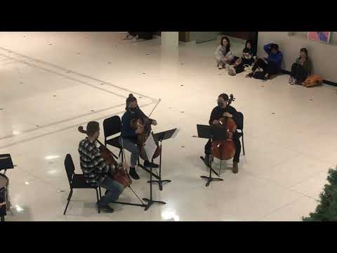 Sibelius Impromptu No. 6, Op. 5, arranged for cello trio