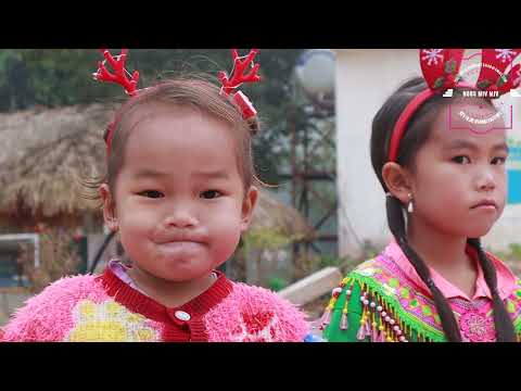 noog miv miv nyob sau ntoo