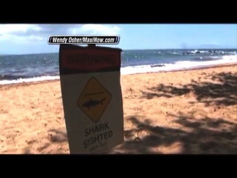 Horror auf Hawaii: Hai beißt Deutschen den Arm ab