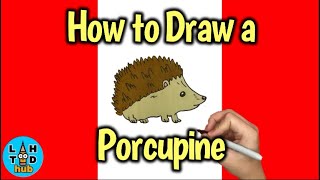 How to Draw a Porcupine Step by Step Easy