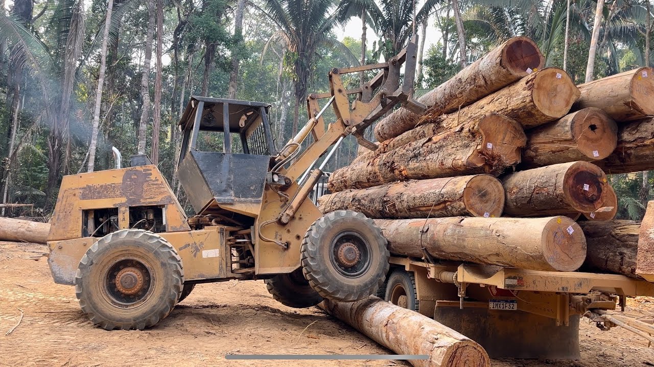 Explicando oque aconteceu com os videos da mafia da tora. E carregando o caminhão 2638 de madeira.