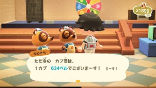 カブ価634ベルを無償で開放中！「往復OK」「視聴者参加型」「あつまれどうぶつの森」