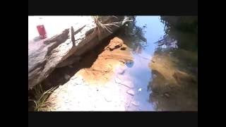 Trout Fishing trip