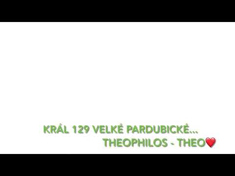 Král 129. Velké pardubické... Theophilos
