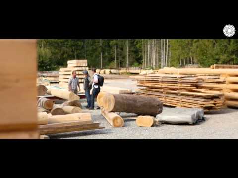 Blockhäuser von Artifex