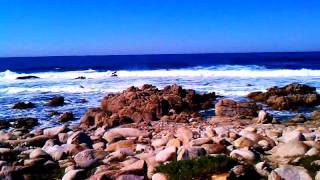 The restless sea