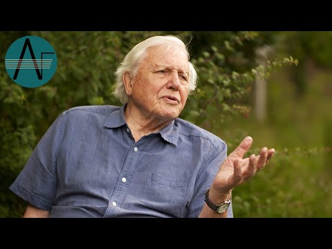 David Attenborough on Christopher Nupen & Jacqueline Du Pré (Interview) | Listening Through the Lens