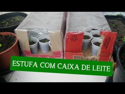 , title : 'COMO FAZER ESTUFA COM EMBALAGEM DE CAIXA DE LEITE'