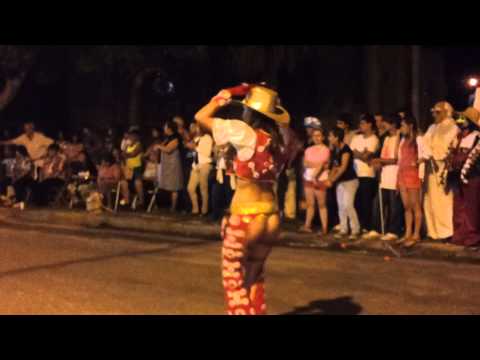 carnavales en Villa Amelia