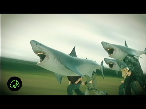 Video thumbnail for T+ VS SHARK