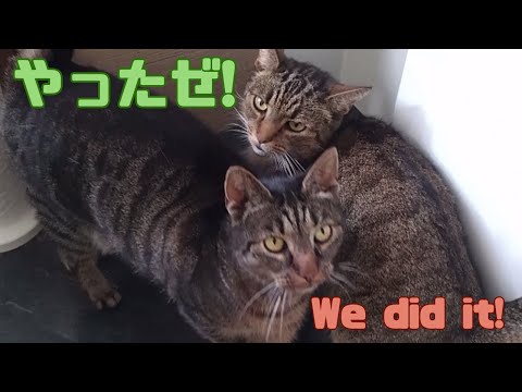 「誰が私からショーを盗むのか」:ジョコが勝利し、カバー写真をプレゼント