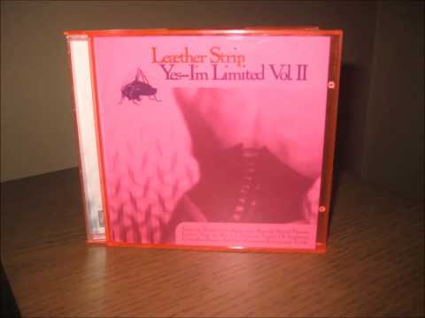 Leather Strip - How Do I Know (Apoptygma Berzerk Remix)