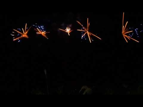 SCF996 - 50s 30mm  Gold Strobe Willows w Blue Star Fan