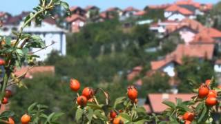 preview picture of video 'Turistička razglednica Gradačac'