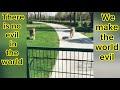 Humanity Whatsapp Status Animals Kindness Humanity World