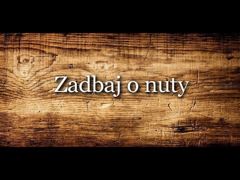 NAUKA GRY NA SKRZYPCACH #2 - Co czują nuty?