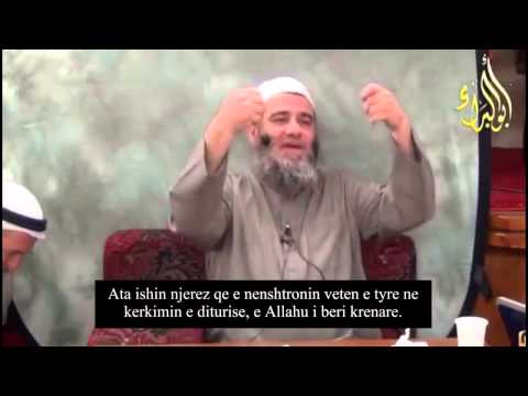 Vullneti ne kerkimin e diturise