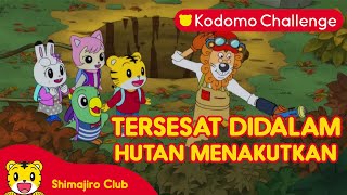 Download lagu Shimajiro I TERSESAT DI HUTAN MENAKUTKAN  I Kartun Anak I Kodomo Challenge mp3