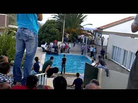 Touro cai numa piscina na Ilha Terceira!