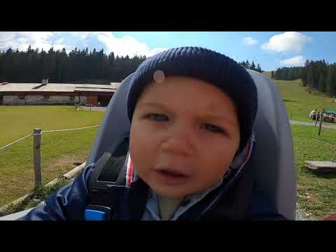 E-bike Madonna di Campiglio - Malga Montagnoli - Rif. Ritorto - Rif. Patascoss