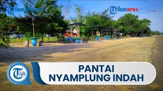 Destinasi Wisata Pantai Nyamplung Indah yang Terletak di Jatim, Banyak Spot Foto untuk Wisatawan