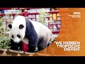 Ouwehands Dierenpark maakt zich grote zorgen om energierekening, steun lijkt onzeker