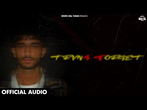 Tryna Forget (Visualizer) — watch video