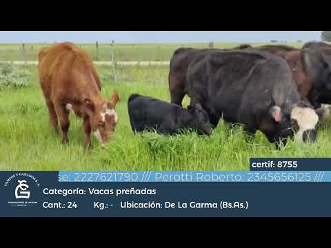 Lote VC CGP - De la Garma Bs As