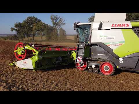 Sklizeň sóji 2021 | Claas Lexion 6700 & convio 930 | Agroslužby Medera