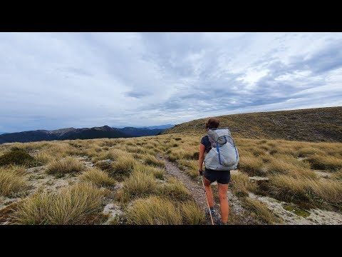 Te Araroa New Zealand 2019/2020 - Day 56: Richmond Forest 2,Browning Hut,Alpine Track,Slaty /km 1860