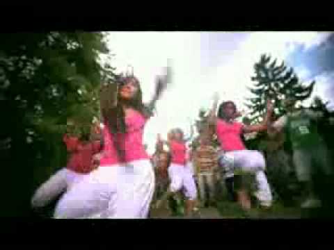 Colle' - Kymai featuring Aynell (passion cove riddim)