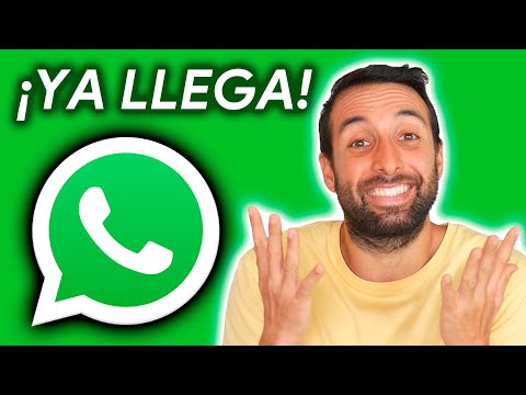 WHATSAPP nos ha ESCUCHADO AL FIN!!