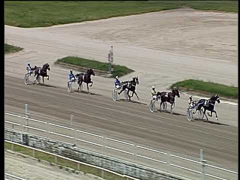 Trotto 08/06/2019 - 1ª prova di qualifica