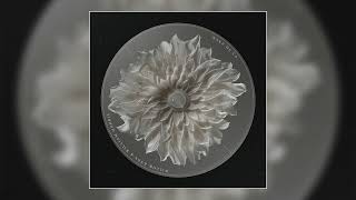 Willow Knox, William Morris, Kings &amp; Creatures - "Wake Me Up (Avicii Cover)" (Official Audio)