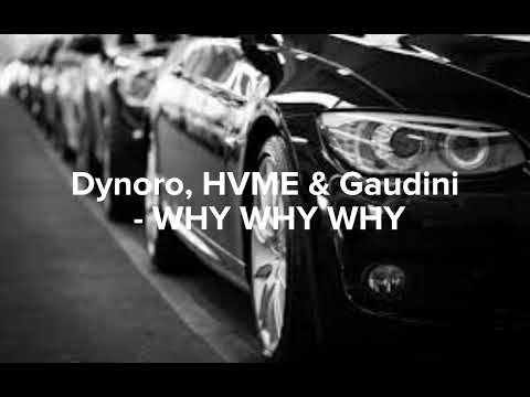 Dynoro, HVME & Gaudini - WHY WHY WHY