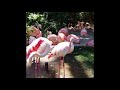 Flamingos At LA Zoo