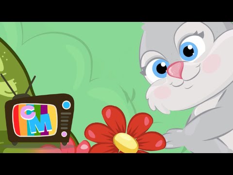 Iepuras Coconas - Clopotelul Magic - cantece pentru copii