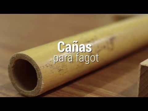 Construcción Caña para Fagot  - Orquesta Filarmónica de Medellín