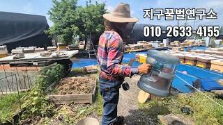 분봉 이젠 분봉받이로 편하게 받으세요. #양봉강의 #양봉교육 #지구꿀벌연구소 #양종민 #천연양봉원 #꿀벌 #여왕벌