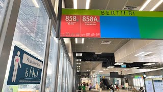 One-Take | SG♥️BUS 858 Woodlands Bus Interchange To Changi Airport & Back