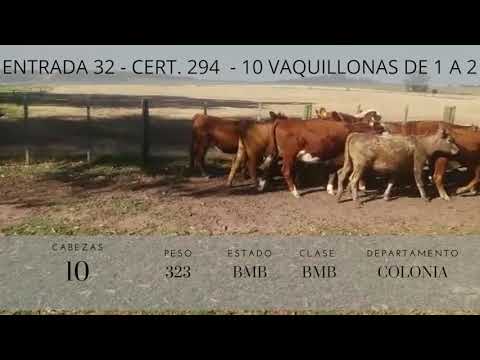 Lote 10 Vaquillonas 1 a 2 años 4HE,  4HExAA,  2CHxHE 323kg -  en Km 130 de ruta 1, 7km al sur