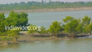 Boat Cruise in Brahmaputra river, Sundarbans, West Bengal