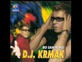 DJ Krmak - Vjestica