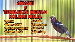 Download lagu MASTERAN TERBAIK KOLIBRI NINJA MATERI LOMBA FULL TEMBAKAN MEWAH ISIAN TAJAM NYARING JERNIH mp3